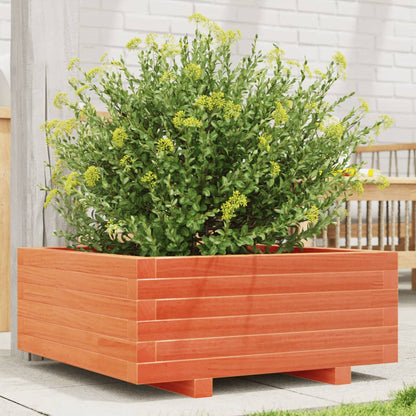 Jardinera De Madera Maciza De Pino Marrón Cera 60x60x26,5 Cm_1