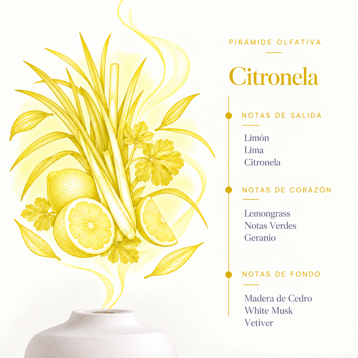 Esencia Hidrosoluble Citronela SYS Aromas 50 ml | Aroma Cítrico y Herbal | Para Humidificadores y Difusores_4