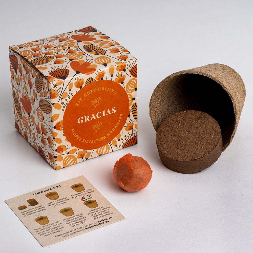 Díselo con Flores "Gracias" Kit Autocultivo Flores Silvestres Naranjas | Regalo Original - Resetea_1