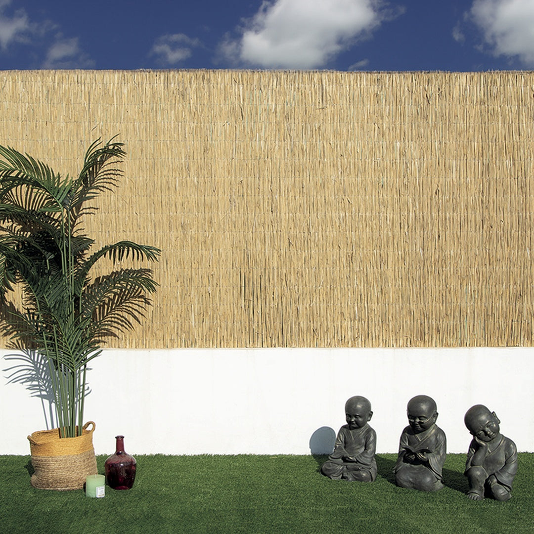 Bambú Pelado Multi Varilla Reed Multi 1x5 M Nortene_3