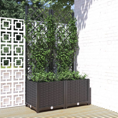 Jardinera De Jardín Con Enrejado, Color Negro, 80 X 40 X 136 Cm, Pp_1