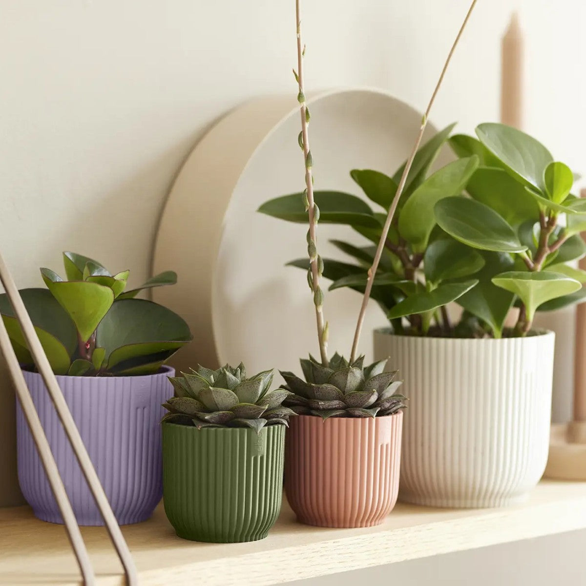 Maceta Verde Helecho Vibes Fold Round Mini Elho 11cm 100% reciclado