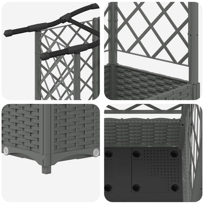 Cama Elevada Con Trellis Y Techo Gris Claro 163 X 40 X 123 Cm_5