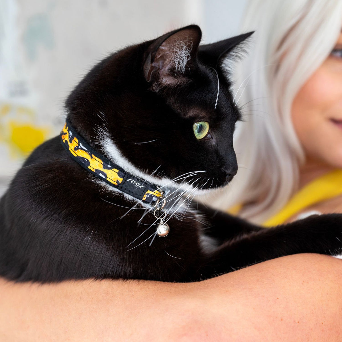 Collar Para Gato Fashioncat Estampado Amarillo Rogz Ajustable 20-31cm_2