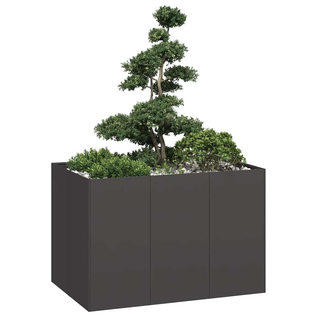 Jardinera Acero Negro 120x80x80 Cm_1
