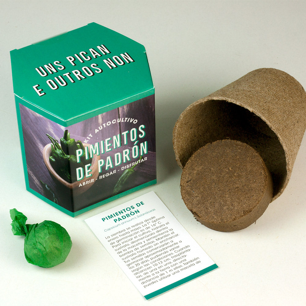 Kit Autocultivo Pimientos de Padrón Cultiva en Casa un Sabor Auténtico Gallego - Resetea_1