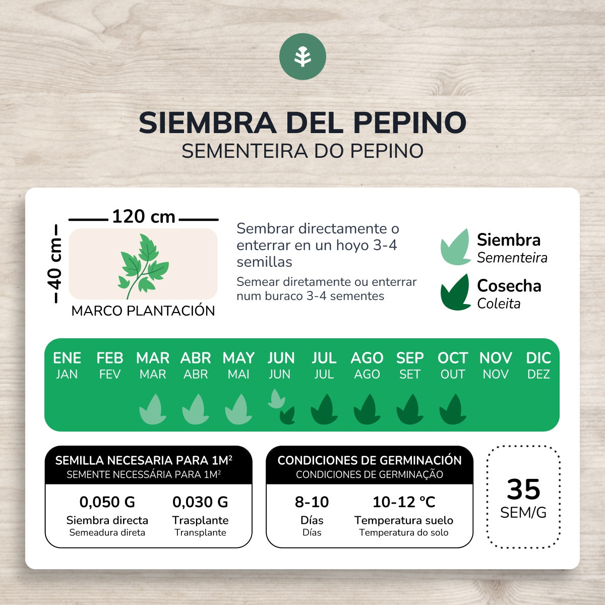 Semillas de Pepino marketmore ecológicas Planeta Huerto