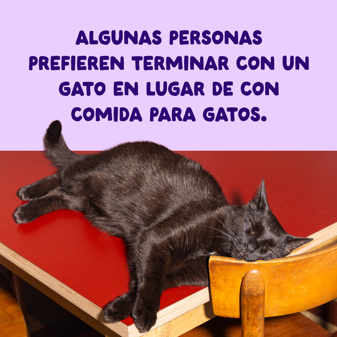 Filetes de salmón y atún para gatos Edgard & Cooper 70 g