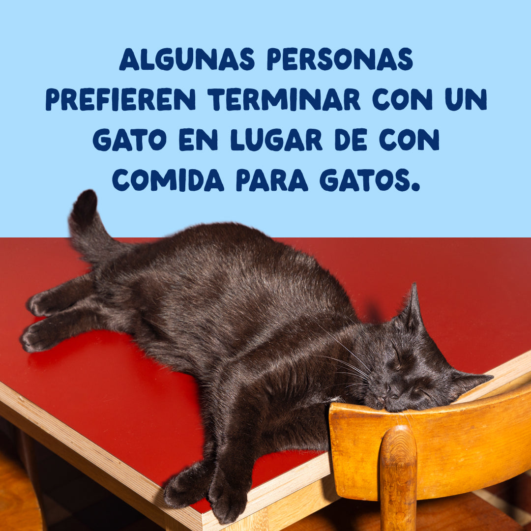 Filetes de atún para gatos Edgard & Cooper 70 g
