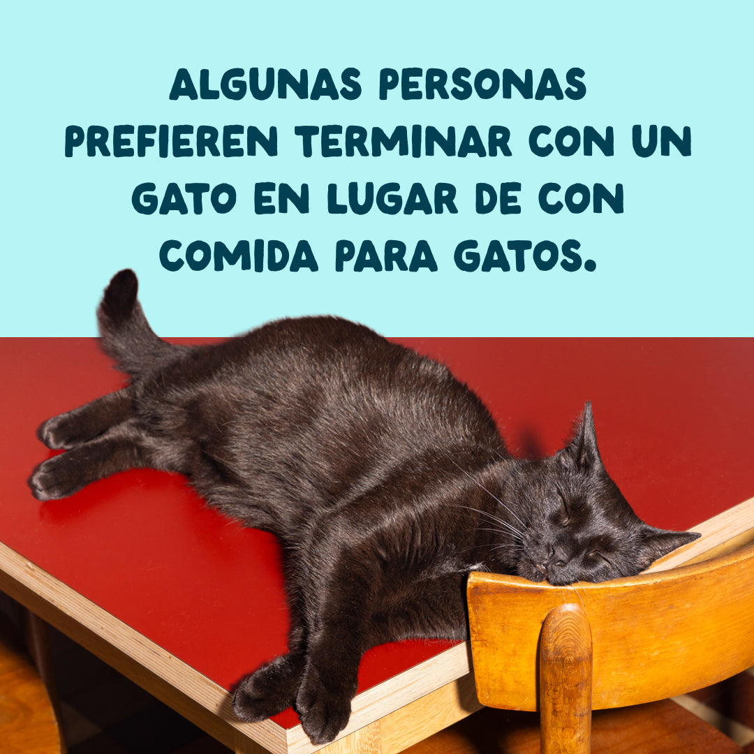 Filetes de atún con gambas para gatos Edgard & Cooper 70 g