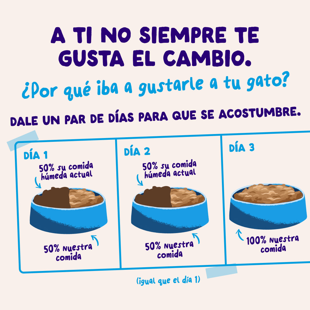 Sobres de comida húmeda para gatos Captura del Día Selección de Pescado en Salsa | Edgard & Cooper 85 g