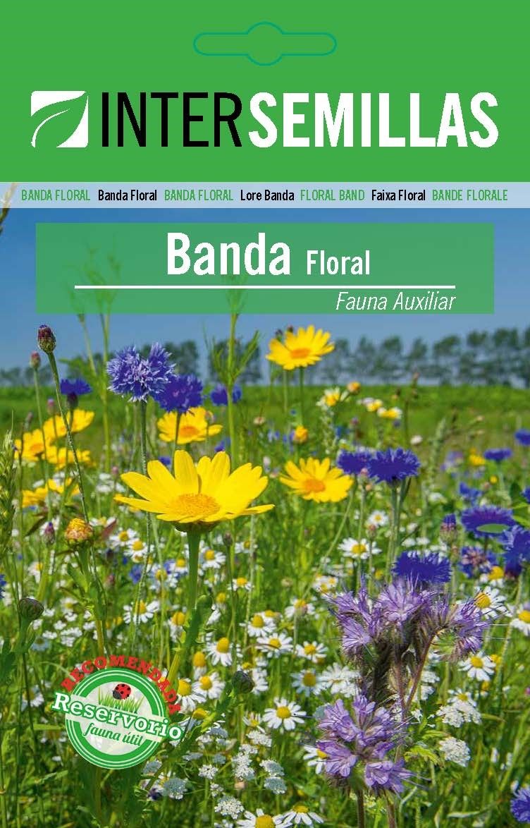 Banda Floral Fauna Auxiliar Sobre De Semillas_0
