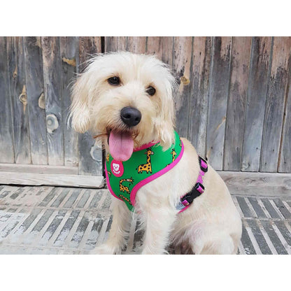 Arnés reversible para perro SAVANA Dukier L