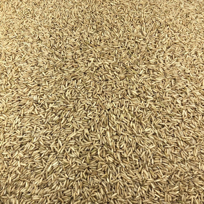 Arroz Basmati Integral Ecológico A Granel 5 Kg_2