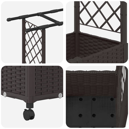 Cama Elevada Con Trellis Y Techo Marrón 124,5 X 40 X 142 Cm Pp_5