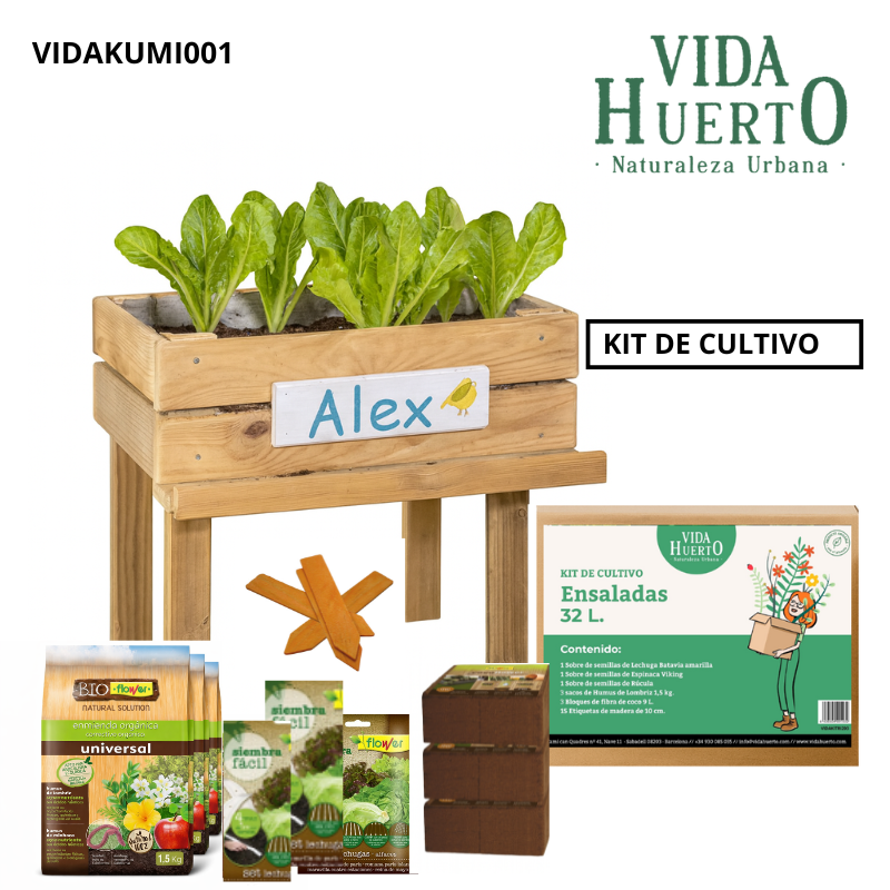 Mesa De Cultivo Infantil De Madera Con Kit De Cultivo De Ensaladas | Vidahuerto_2