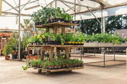 Estantería Expositor De Madera Para Plantas Grow Hortalia_1