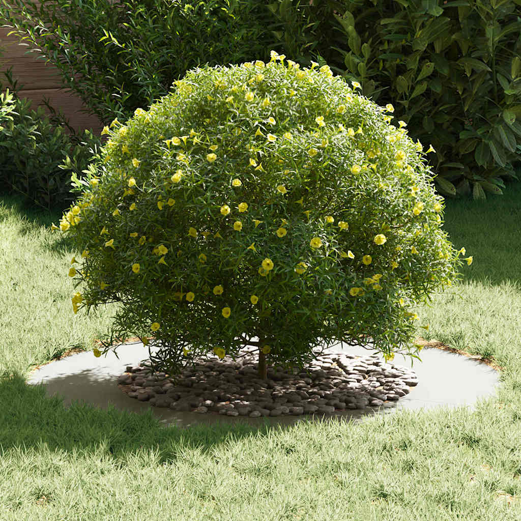 Adecuado Para Anillo De Árbol Plano Ø50 / 80 Cm Acero_2