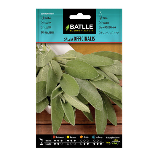 Semillas de Salvia officinalis  Batlle