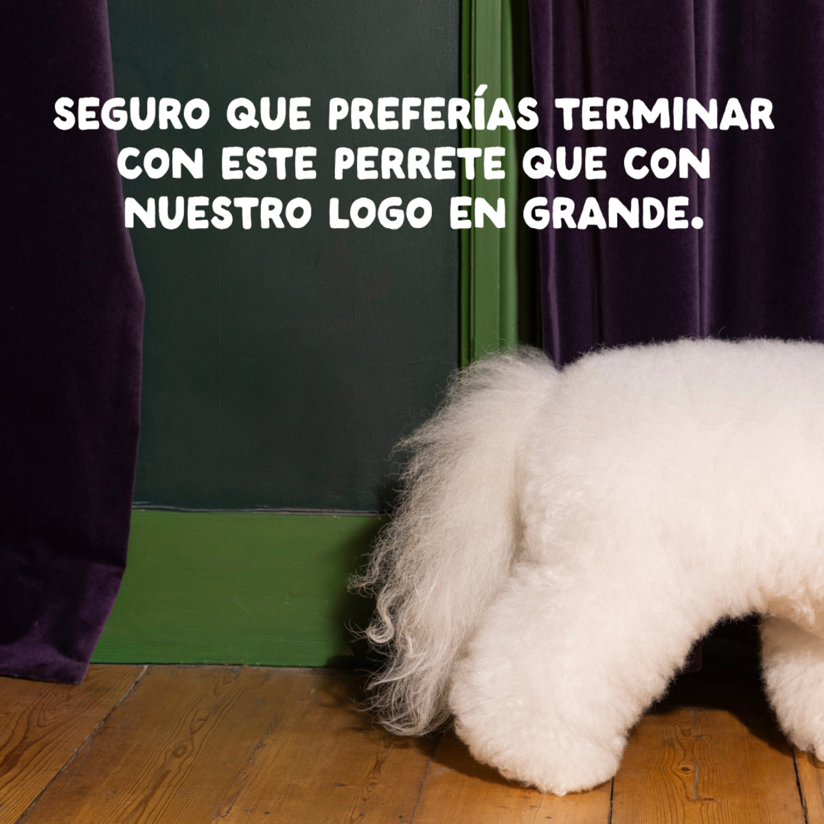 Pienso para perros Pollo de corral Edgard & Cooper 1 kg