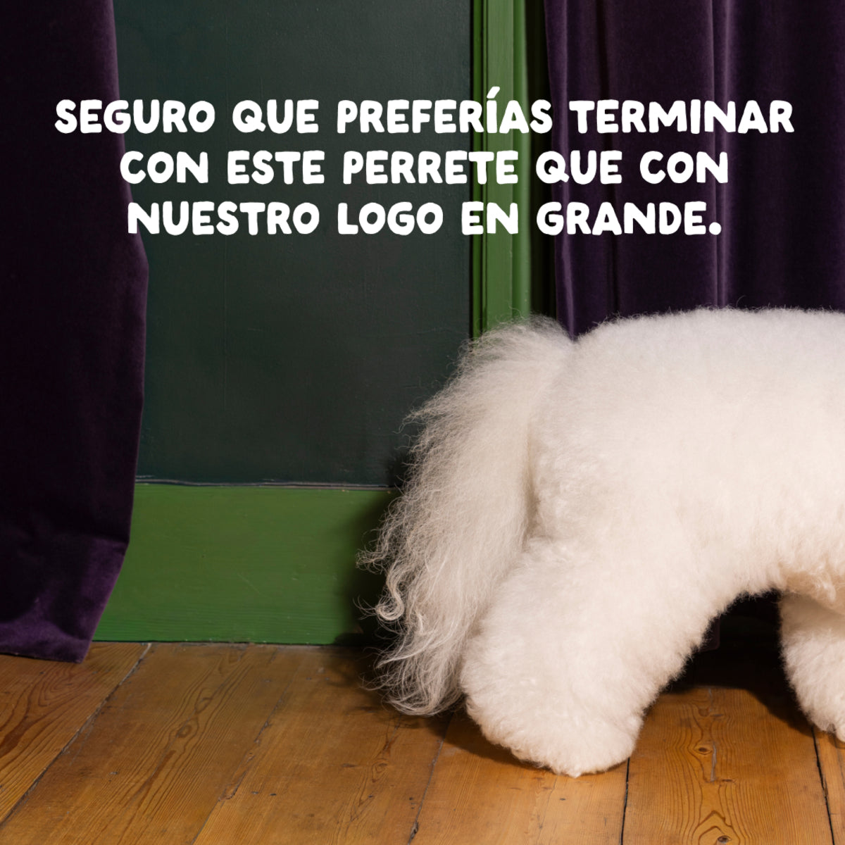 Pienso para perros Cordero Edgard & Cooper 1 Kg