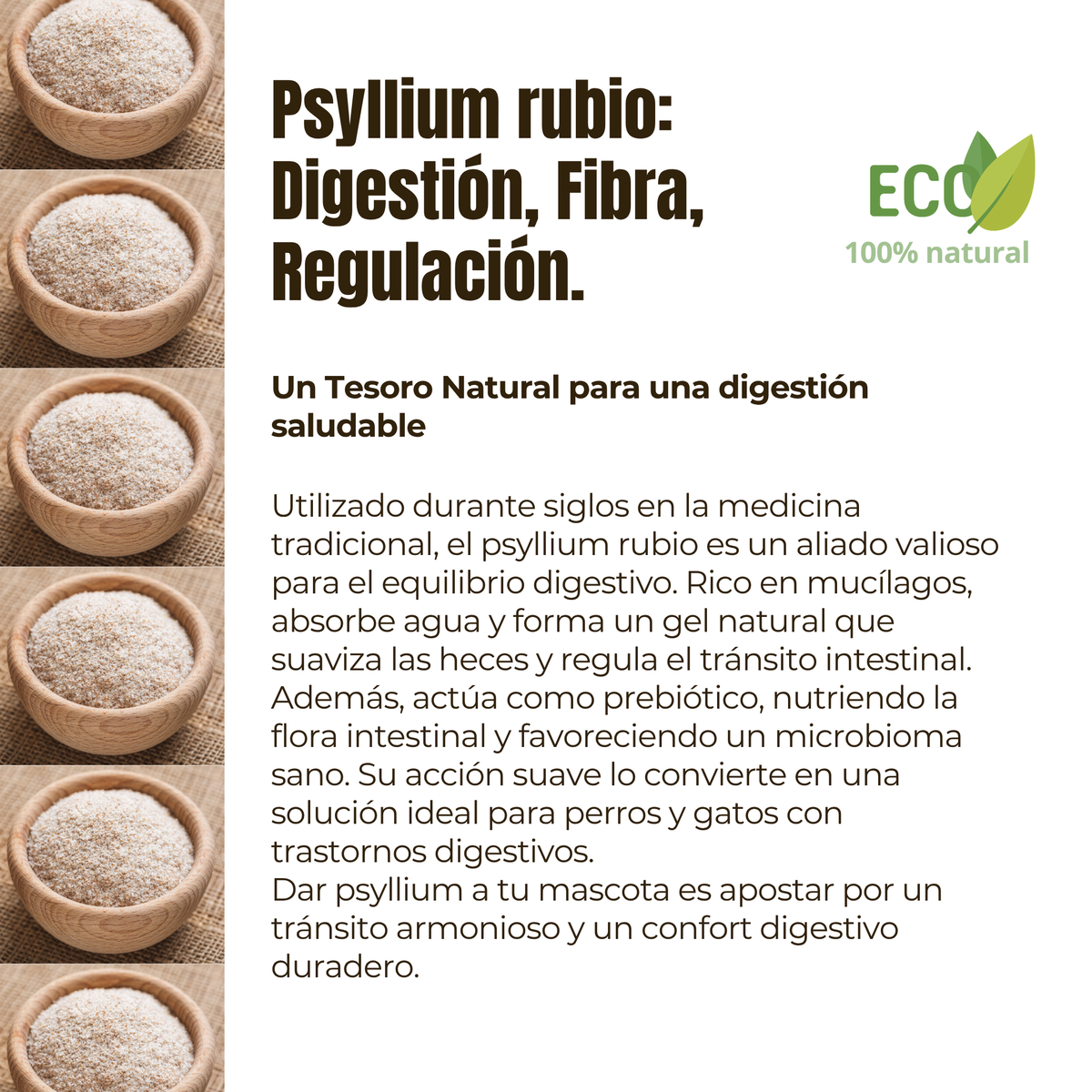 Psyllium ECO para perros y gatos – Tránsito intestinal – 300 g_3