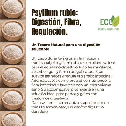 Psyllium ECO para perros y gatos – Tránsito intestinal – 300 g_3