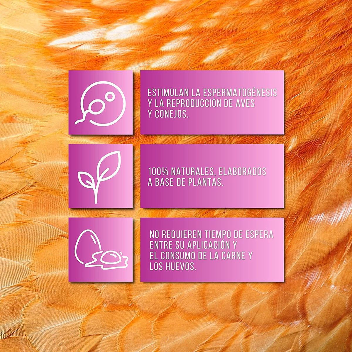 Estimula La Fertilidad De Las Aves De Corral - Productos Naturales Para Cría De Gallinas, Patos Y Otras Aves -1l_1