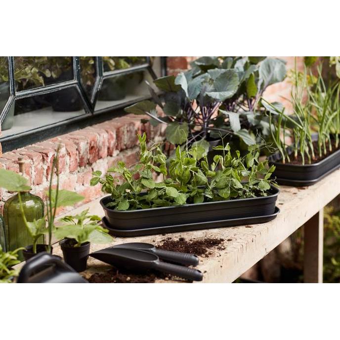 Plato bandeja de cultivo Green basics Elho Antracita M