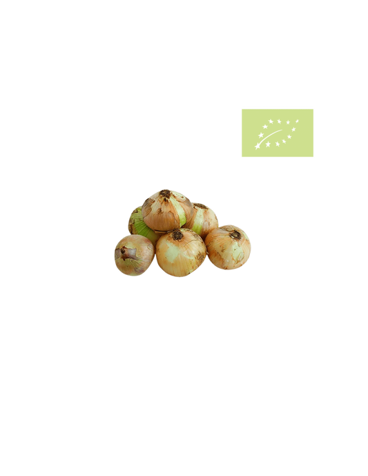 Cebolla Babosa Bio - 1kg_0