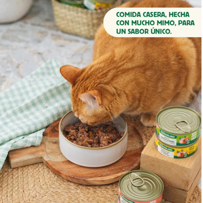 Pack Guiso del pescador salmón y cerdo para gatos 6 x 80 g Wild Balance