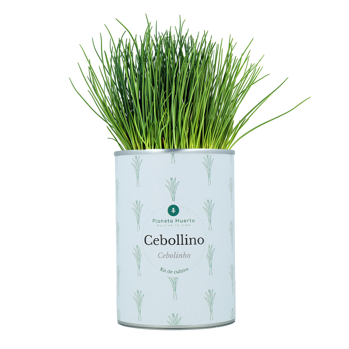 Pack Kits de cultivo aromáticas Planeta Huerto