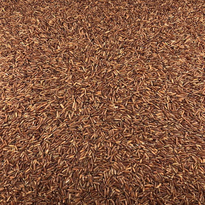 Arroz Rojo Ecológico Granel 0,5 Kg_2