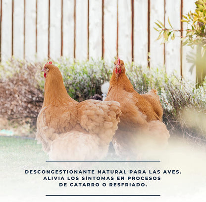Solurespi 1l - Solución Líquida Mentolada Para Gallinas - Apoyo Nutricional En El Resfriado De Las Aves - 100% Natural_3