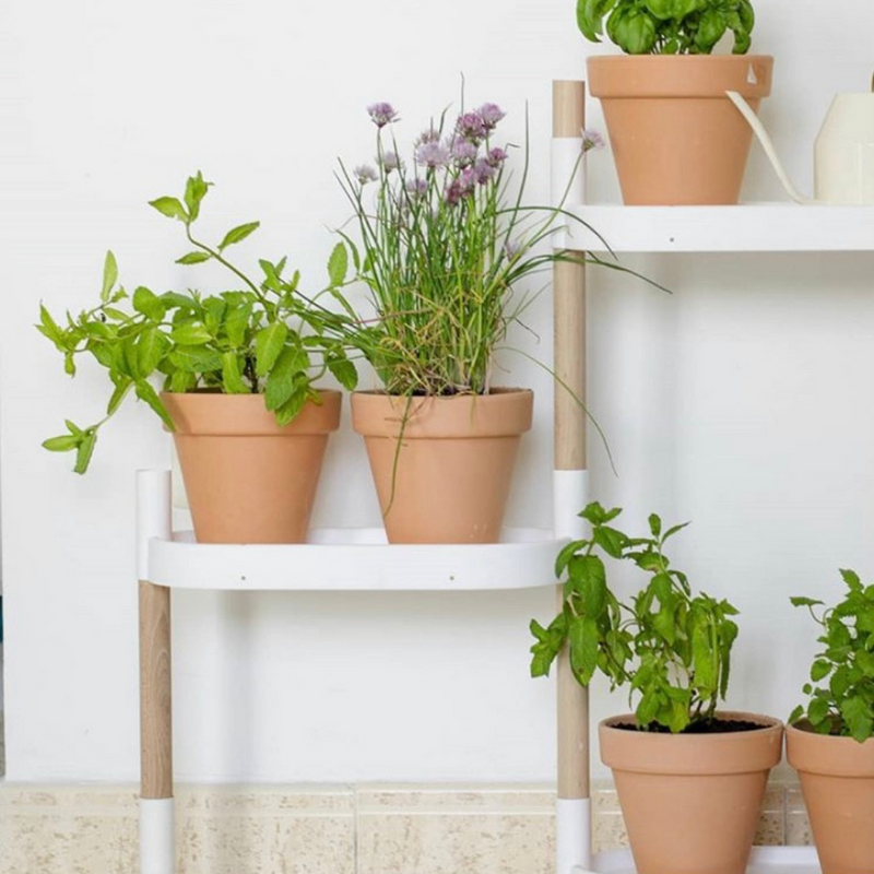 Soporte Modular Citysens De 4 Bandejas Y Semillas Aromáticas – Blanco, Polipropileno 100% Reciclado Y Madera Ecológica_0