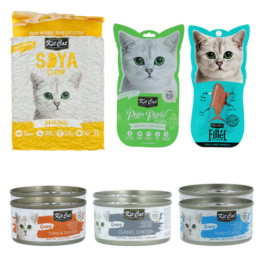 Pack Descubre Kit Cat