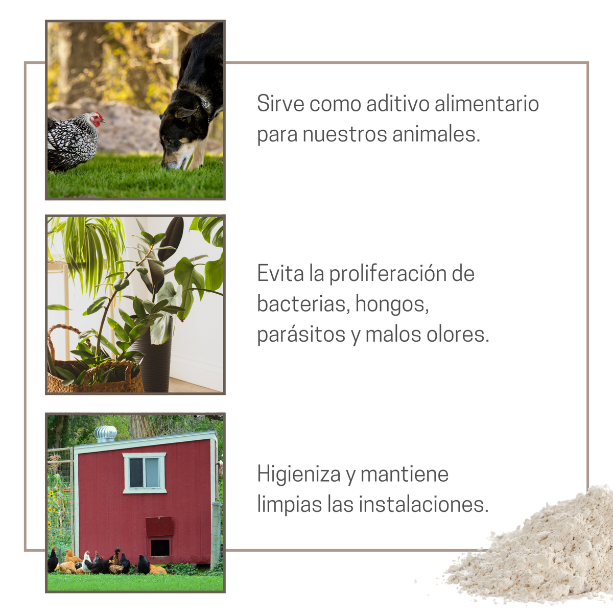 Tierra De Diatomeas Para Ayudar A Mantener El Gallinero Libre De Parásitos - Producto Natural - 750g_3