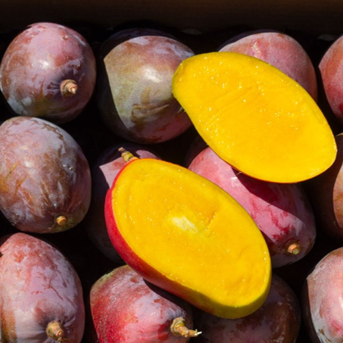Mangos Ecológico Español Caja De 4kg_4