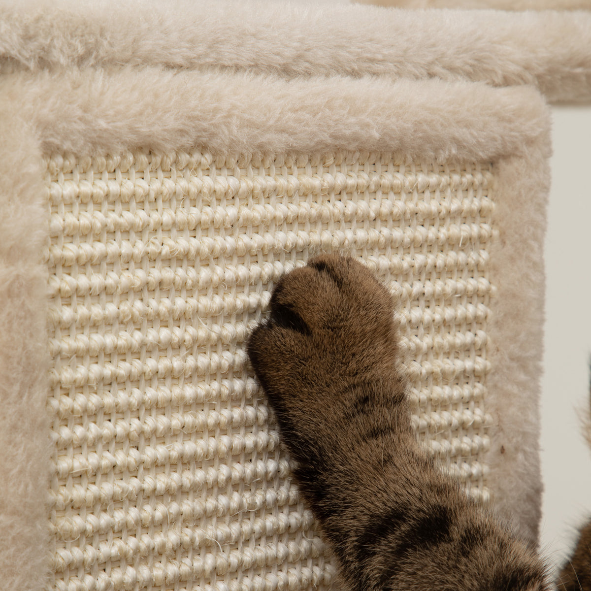 Pawhut Árbol Rascador Para Gatos Grande Altura 206 Cm Con Hamacas Beige_3
