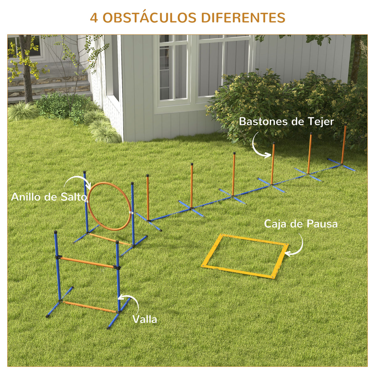 Pawhut Set De Entrenamiento De Agilidad Para Perros De 4 Piezas Naranja Y Azul_4