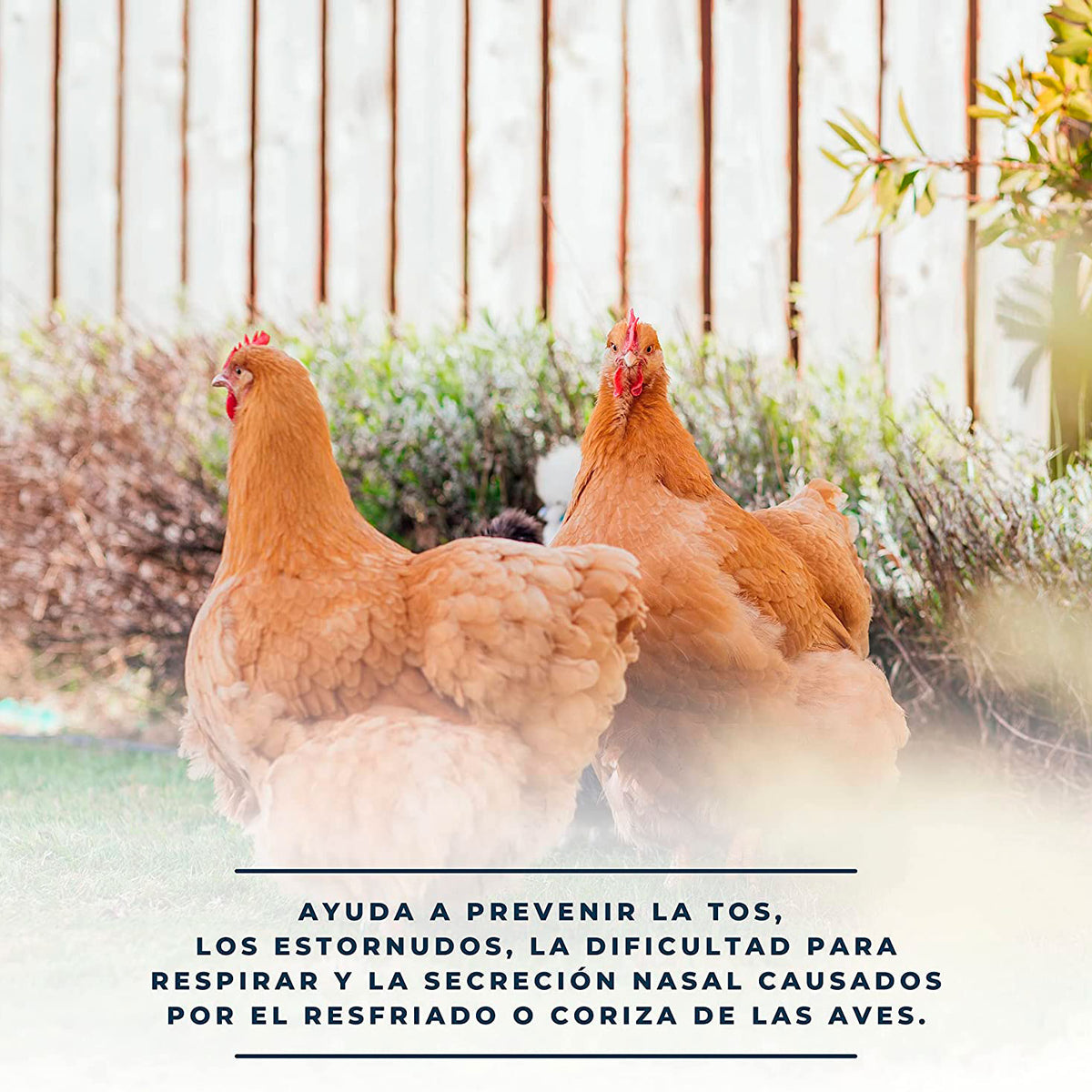 Respibalm - Bálsamo Natural Para Animales 500 Ml. Despeja Las Vías Respiratorias De Perros, Gallinas, Conejos, Rumiantes - Descongestionante Natural_2