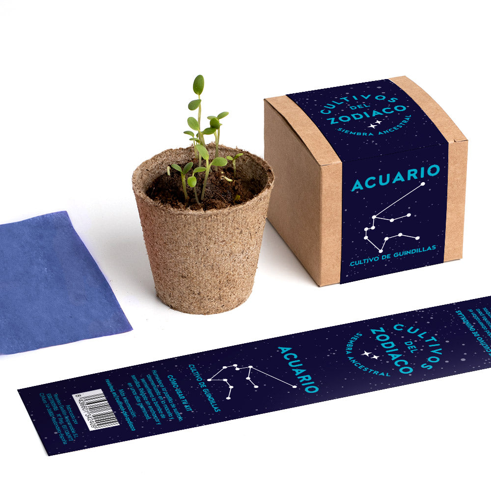 Cultivos del Zodiaco – Acuario, Kit de Cultivo con Semillas de Guindilla - Resetea_4
