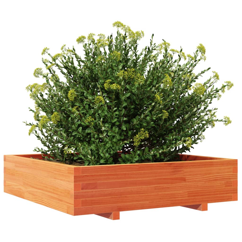 Jardinera De Madera Maciza De Pino Marrón Cera 100x100x26,5 Cm_3