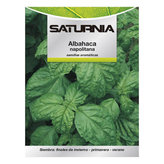 Semillas Aromáticas Albahaca Gigante (5 Gramos) Horticultura, Horticola, Semillas Huerto._0