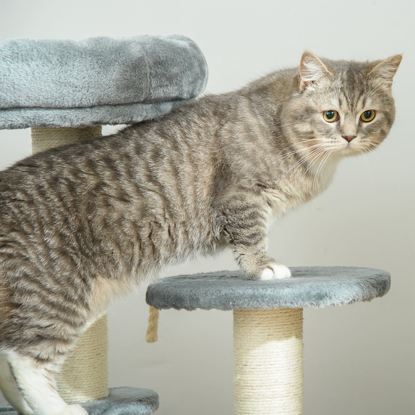 Pawhut Árbol Rascador Para Gatos Con Cama De Felpa Y Postes De Cuerda De Sisal_3
