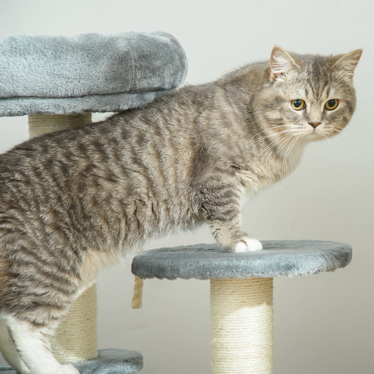 Pawhut Árbol Rascador Para Gatos Con Cama De Felpa Y Postes De Cuerda De Sisal_3