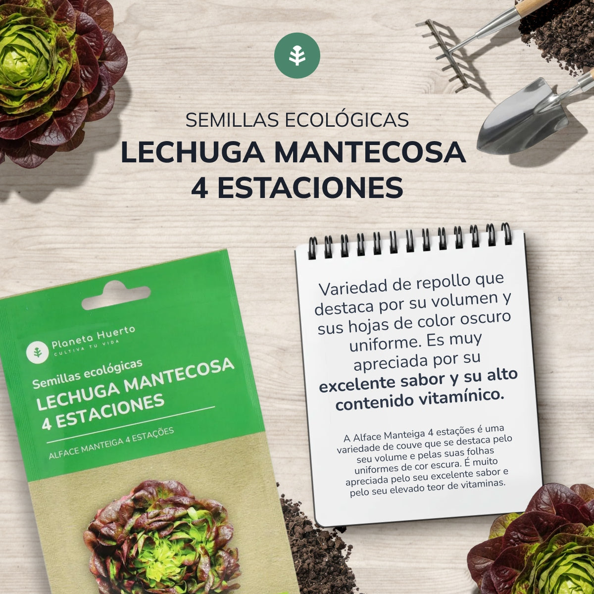 Semillas de Lechuga Mantecosa 4 estaciones ecológicas Planeta Huerto