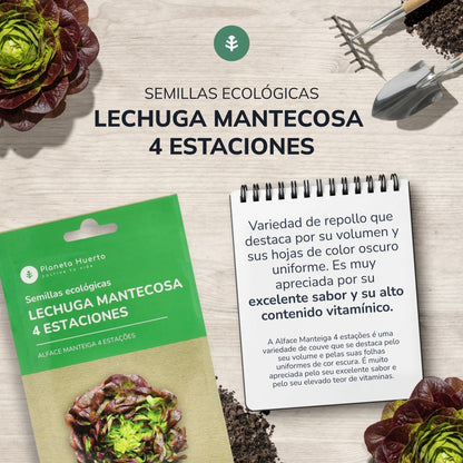 Semillas de Lechuga Mantecosa 4 estaciones ecológicas Planeta Huerto