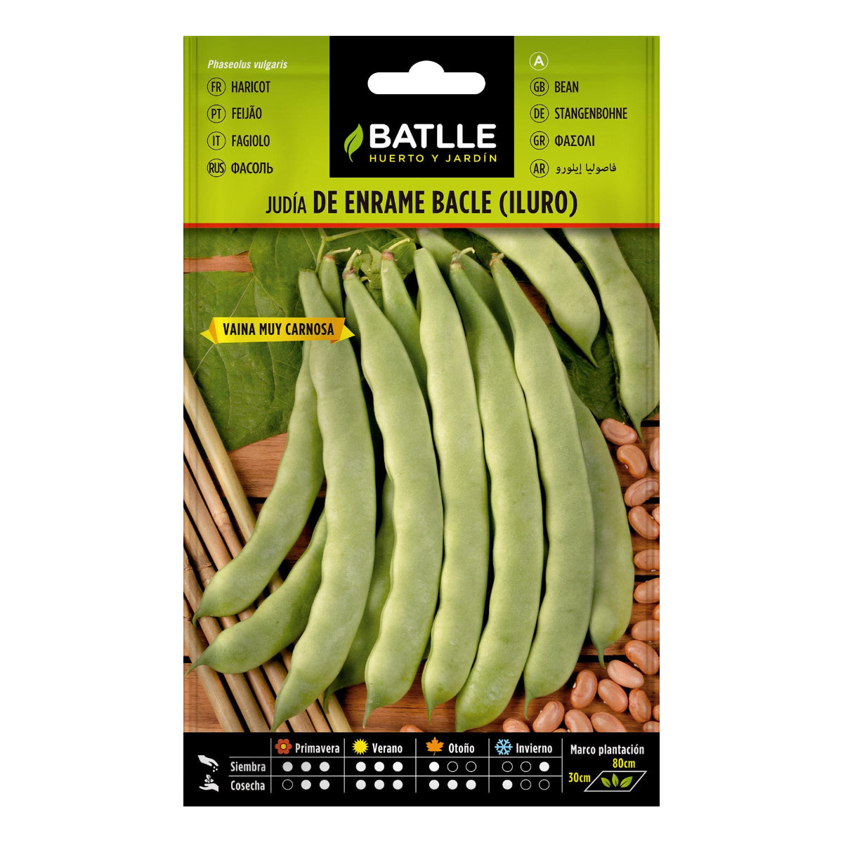 Semillas de Judía Iluro 100 g