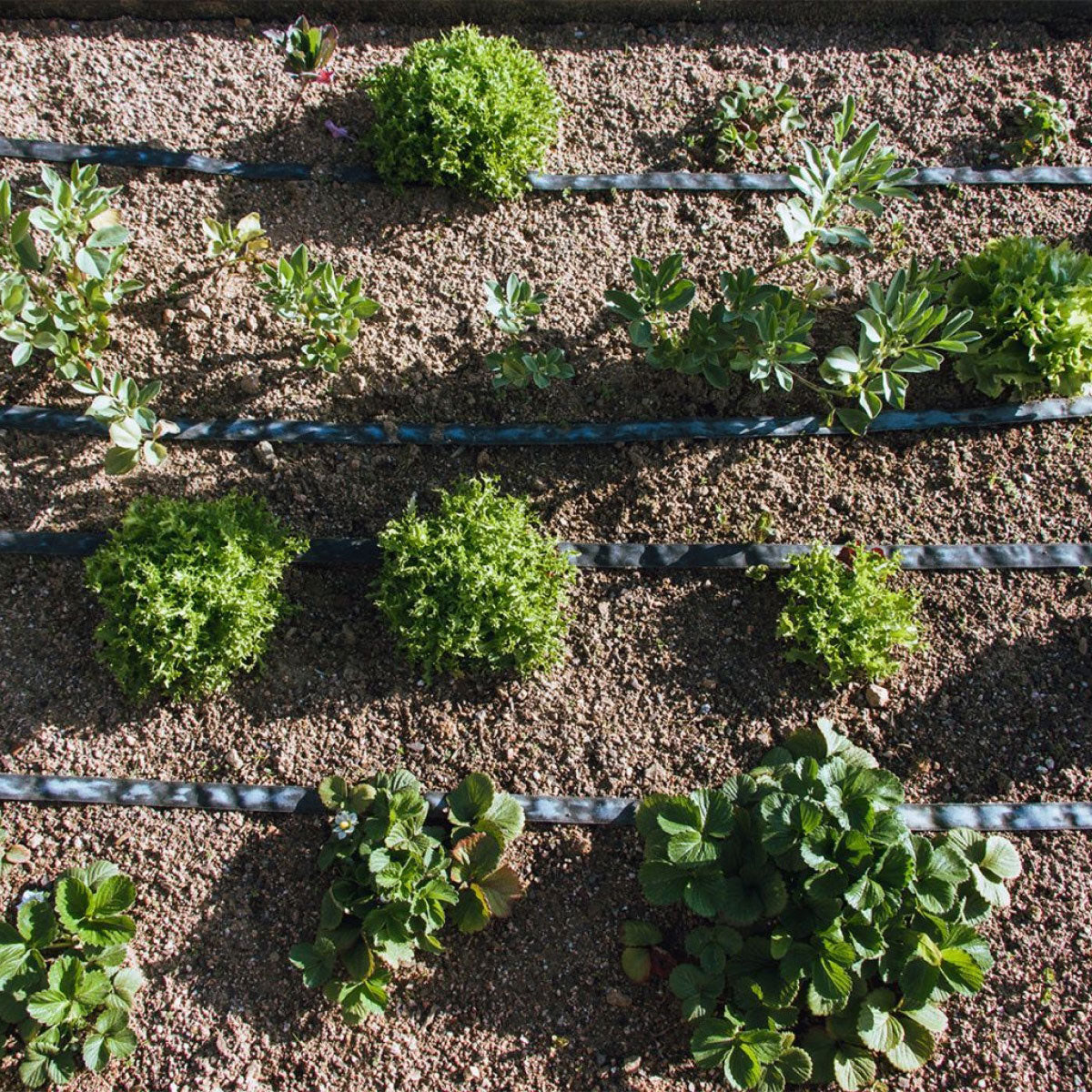 Tubería de Riego por Exudación en Rollo Agro Planeta Huerto 25 m